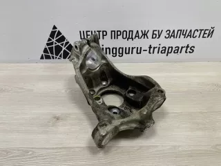 31216878610 Кулак BMW 3 F80 Арт TP102417, вид 1