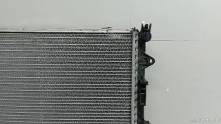 0995008800 Mercedes Benz Радиатор основной Mercedes S C217 Арт E103050943, вид 2