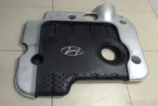 2924027800 Hyundai-Kia Накладка декоративная Hyundai Santa FE 4 (TM) restailing Арт E21064922, вид 1