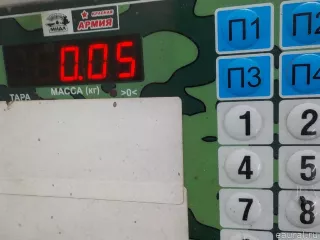 0007220721 Volvo Дефлектор обдува салона KAMAZ 5490 Арт E36260700, вид 4
