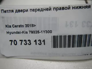 793251Y300 Hyundai-Kia Петля двери передней правой нижняя Kia Rio 3 Арт E70733131, вид 6