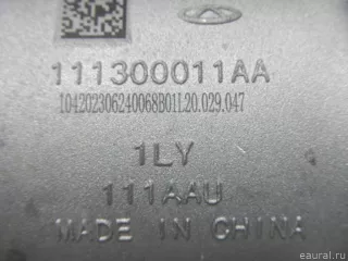 111300011AA Chery Насос (помпа) электрический Chery Tiggo  2 Арт E70741694, вид 9