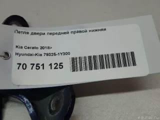 793251Y300 Hyundai-Kia Петля двери передней правой Hyundai i30 PD Арт E70751125, вид 5