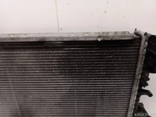 7H0121253J VAG Радиатор основной Volkswagen Transporter T5 restailing Арт E31568321, вид 3