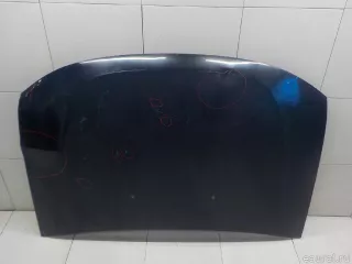 651000987R Renault Капот Renault Duster 2 Арт E31578035, вид 2
