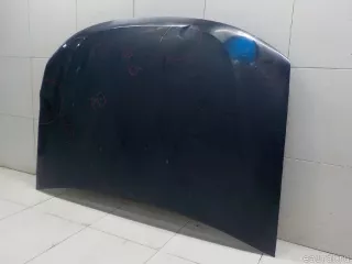 651000987R Renault Капот Renault Duster 2 Арт E31578035, вид 4