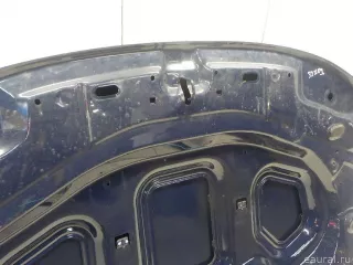651000987R Renault Капот Renault Duster 2 Арт E31578035, вид 9