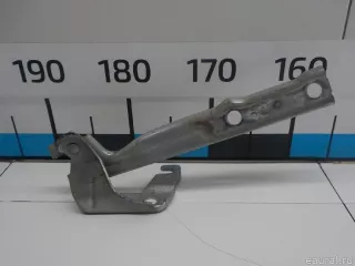 5N0823302A VAG Петля капота правая Volkswagen Tiguan 1 Арт E31580671, вид 1