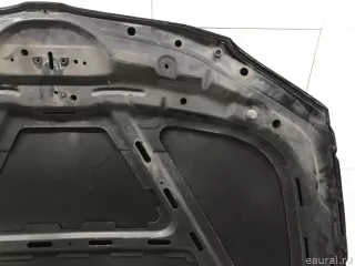 41627162102 BMW Капот BMW X1 E84 Арт E31593182, вид 17