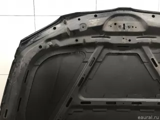 41627162102 BMW Капот BMW X1 E84 Арт E31593182, вид 20