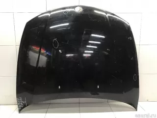 41627162102 BMW Капот BMW X1 E84 Арт E31593182, вид 2