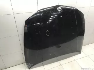 41627162102 BMW Капот BMW X1 E84 Арт E31593182, вид 4