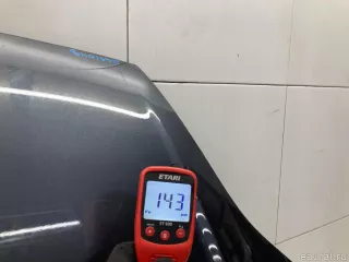 1531070 Ford Капот Ford Fiesta 5 Арт E31601048, вид 13