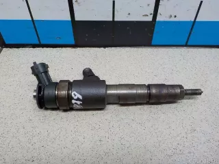 1980S5 Citroen-Peugeot Форсунка Citroen C3 Picasso restailing Арт E31602629