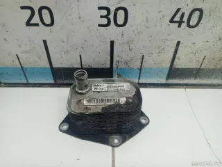 264102A150 Hyundai-Kia Радиатор масляный Kia Sportage 3 Арт E31613355, вид 1