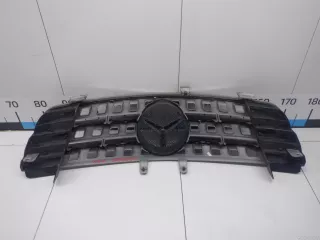 16488008859776 Mercedes Benz Решетка радиатора Mercedes S C217 Арт E31620676, вид 5