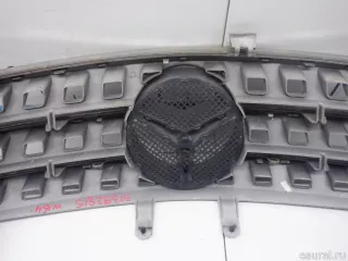 16488008859776 Mercedes Benz Решетка радиатора Mercedes S C217 Арт E31620676, вид 7