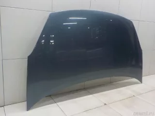 7901P7 Citroen-Peugeot Капот Citroen Berlingo 3 Арт E31621630, вид 1