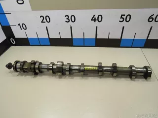 11317613932 BMW Распредвал выпускной BMW 7 F01/F02 Арт E80239271, вид 1