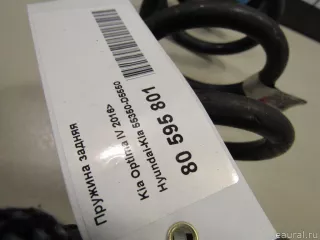 55350D5550 Hyundai-Kia Пружина задняя Kia Optima 4 Арт E80595801, вид 4