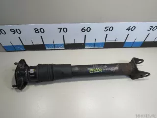2513202131 Mercedes Benz Амортизатор задний Mercedes R W251 Арт E80698894, вид 2
