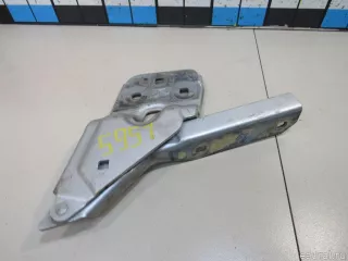 7P6823301 VAG Петля капота левая Volkswagen Touareg 2 Арт E80789200, вид 3