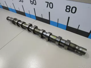 1300100Q0X Nissan Распредвал выпускной Nissan Almera G15 Арт E80817459, вид 7