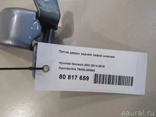 794303M000 Hyundai-Kia Петля двери задней левой Genesis G80 Арт E80817659, вид 5