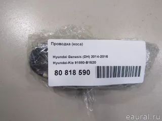 91880B1520 Hyundai-Kia Жгут проводов (Проводка) Genesis G80 Арт E80818590, вид 11
