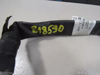 91880B1520 Hyundai-Kia Жгут проводов (Проводка) Genesis G80 Арт E80818590, вид 4