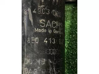 8e0413031c Амортизатор передний Audi A4 B7 Арт 49045, вид 2