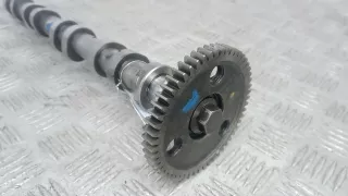 LR001855 Распредвал дизельный Land Rover Range Rover 3 Арт 5AG17AF01, вид 4