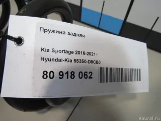 55350D9CB0 Hyundai-Kia Пружина задняя Kia Sportage 4 Арт E80918062, вид 6