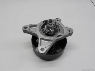 B1010EN20B Nissan Насос антифриза (помпа) Renault Scenic 3 Арт E41178741, вид 3