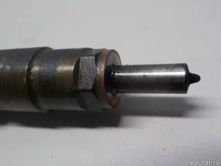 1980S5 Citroen-Peugeot Форсунка Citroen C3 2 restailing Арт E52471803, вид 5