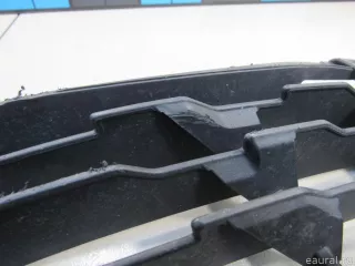 51117453987 BMW Решетка в бампер левая BMW X1 F48 Арт E80964871, вид 4