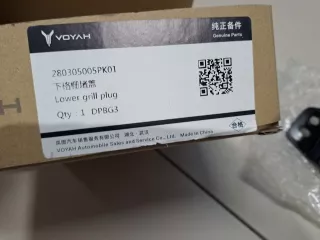 280305005PK01 Заглушка решетки радиатора нижняя левая Voyah Dream Арт Z342586, вид 2