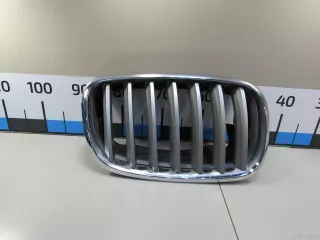 51137185224 BMW Решетка радиатора BMW X6 E71/E72 Арт E80969671, вид 1