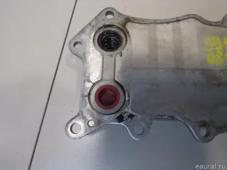 6421800165 Mercedes Benz Радиатор масляный Mercedes R W251 Арт E80991089, вид 6
