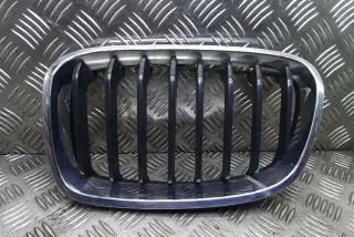 7239021, 7262117 , art12576076 Заглушка (решетка) в бампер передний BMW 1 F20/F21 Арт 12576076, вид 1