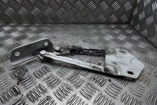 1t0823302f , art13125484 Петля капота Volkswagen Caddy 3 Арт 13125484, вид 3