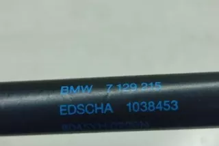 7129215 , art12294062 Амортизатор крышки багажника (3-5 двери) BMW 3 E90/E91/E92/E93 Арт 12294062, вид 6