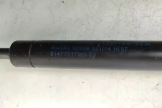 7317965 , art12304724 Амортизатор крышки багажника (3-5 двери) BMW 3 F30/F31/GT F34 Арт 12304724, вид 3