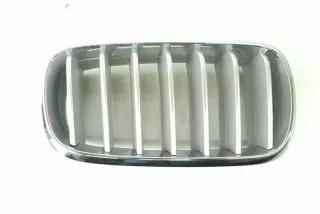 7303108, 7316076, 7316058 , art12306728 Заглушка (решетка) в бампер передний BMW X5 F85 Арт 12306728, вид 1