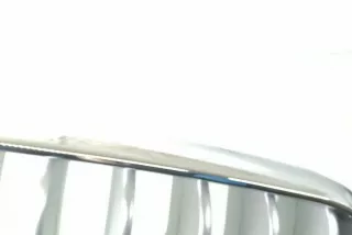 7303108, 7316076, 7316058 , art12306728 Заглушка (решетка) в бампер передний BMW X5 F85 Арт 12306728, вид 2