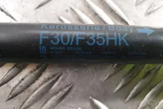 7259763 , art12308598 Амортизатор крышки багажника (3-5 двери) BMW 3 F30/F31/GT F34 Арт 12308598, вид 4