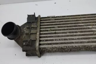 880291U , art13178239 Интеркулер Ford Kuga 1 Арт 13178239, вид 3