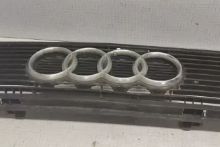 811853655D , art8504887 Заглушка (решетка) в бампер передний Audi Q8 Арт 8504887, вид 2
