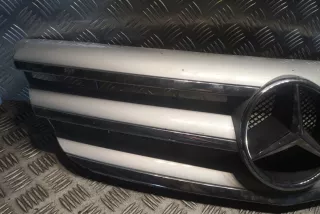1698800883, A1698800883 , art12520895 Решетка радиатора Mercedes B W245 Арт 12520895, вид 2
