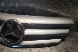 1698800883, A1698800883 , art12520895 Решетка радиатора Mercedes B W245 Арт 12520895, вид 3